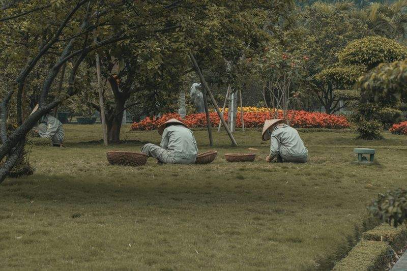 Diseño y planificación de jardines